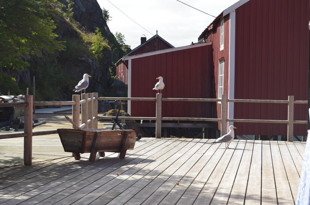 Lofoten Cabins - Sund Sund  Ngoại thất bức ảnh
